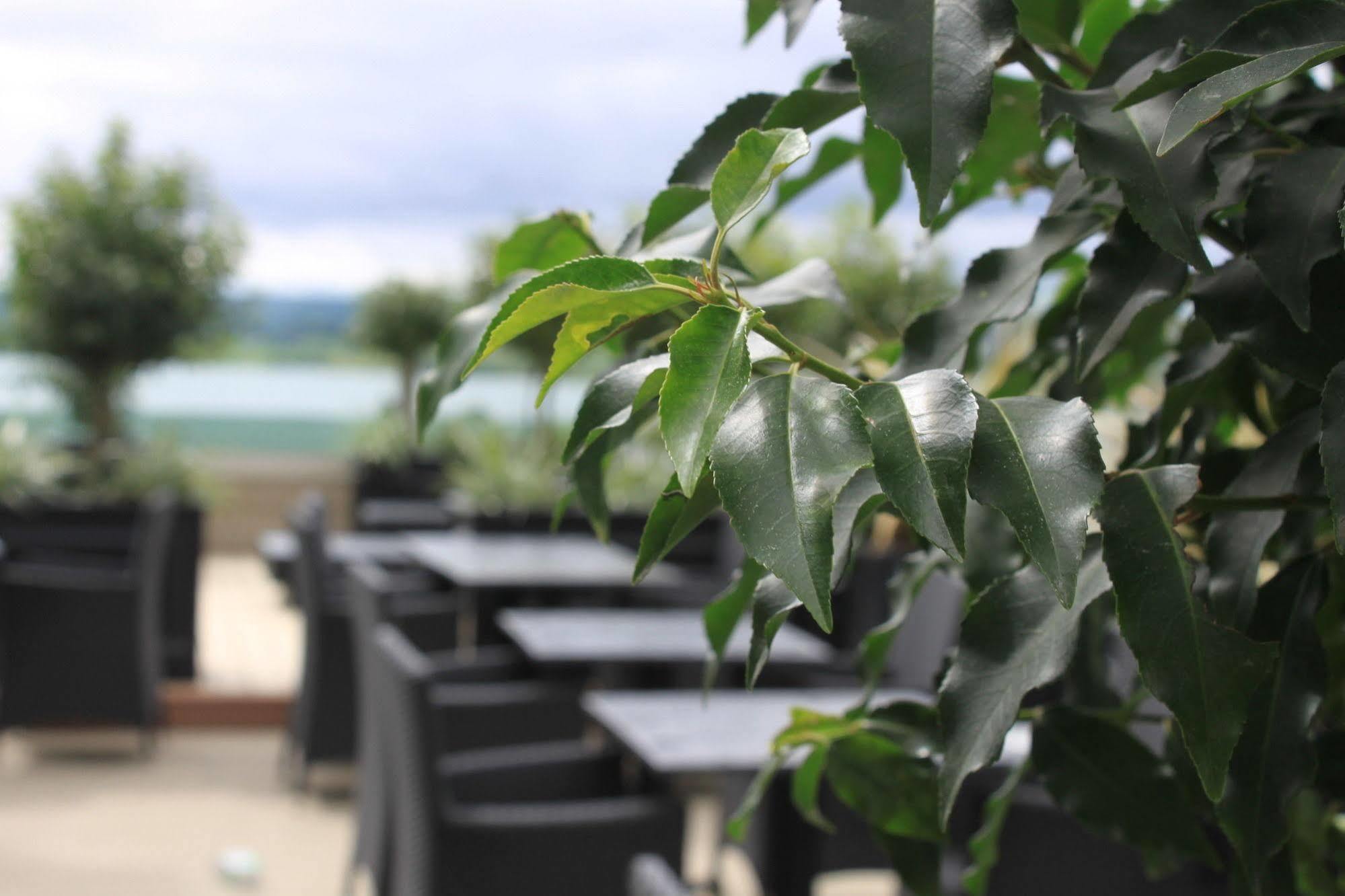 Loughrea Hotel & Spa Exterior photo